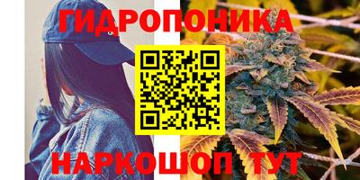 мдма Лесосибирск