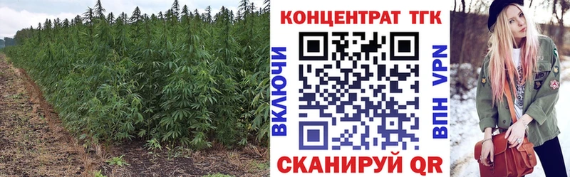 Дистиллят ТГК вейп Сланцы