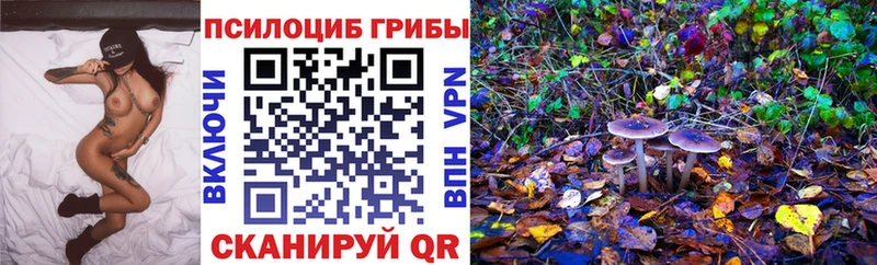 darknet формула  Сланцы  hydra как зайти  Галлюциногенные грибы MAGIC MUSHROOMS  где купить наркоту 